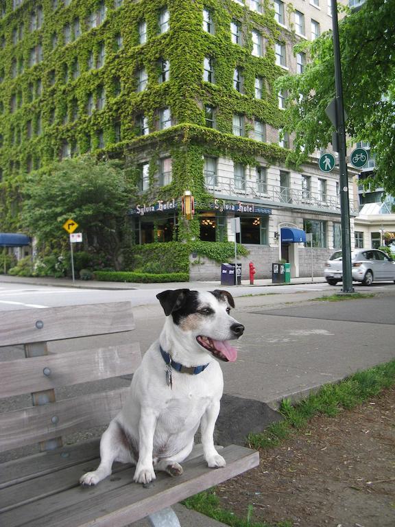 The Sylvia Hotel Vancouver Exterior foto